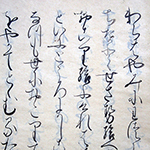 05wakamurasaki